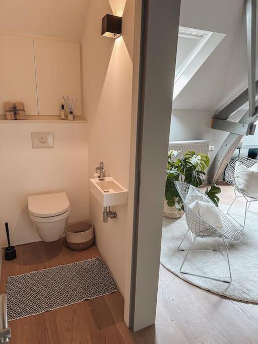 Loft @ De Vlaamse Ardennen Appartement Brakel Buitenkant foto