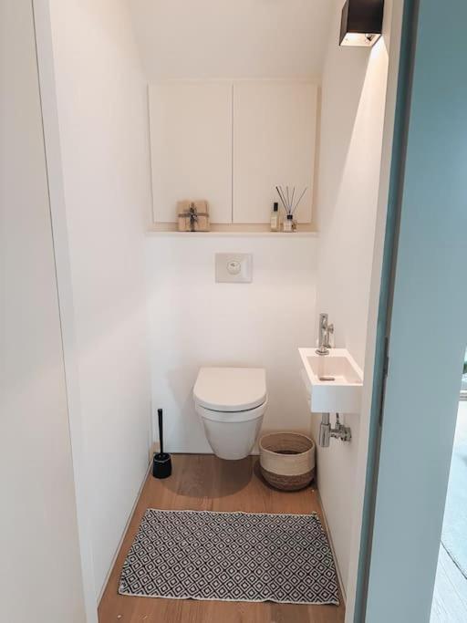 Loft @ De Vlaamse Ardennen Appartement Brakel Buitenkant foto